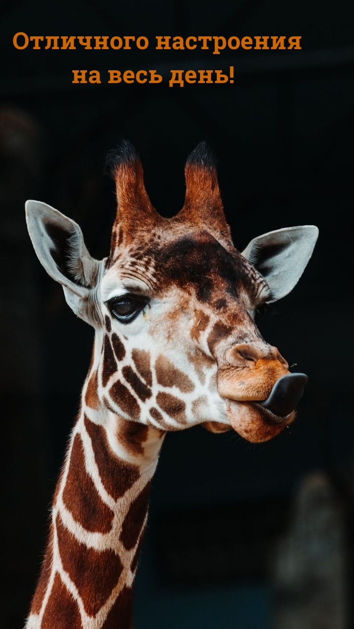 ��������� ���������� �� ���� ����!.