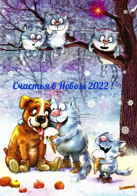 ������� � ����� 2022!