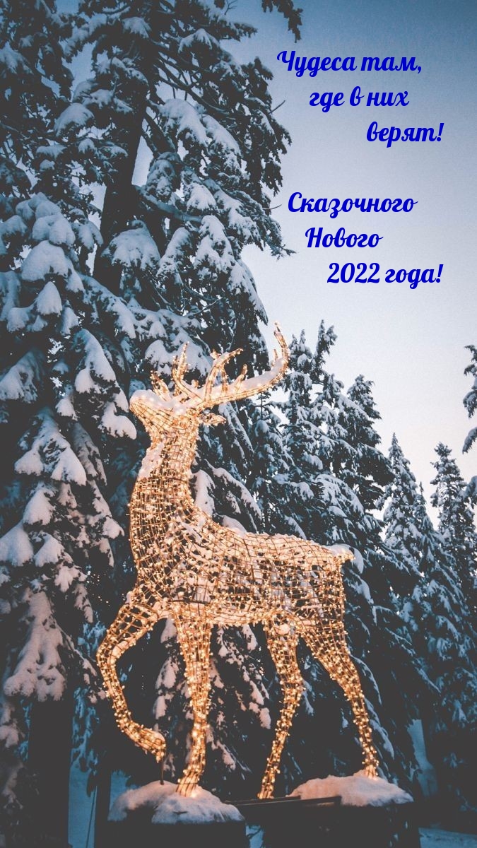 ���������� ������ 2022 ����!
