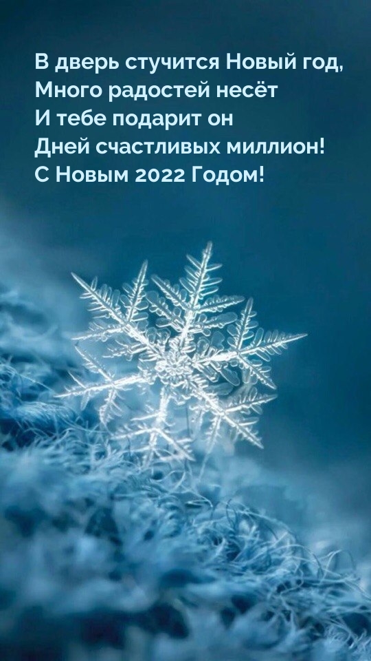 � ����� �������� ����� 2022 ���