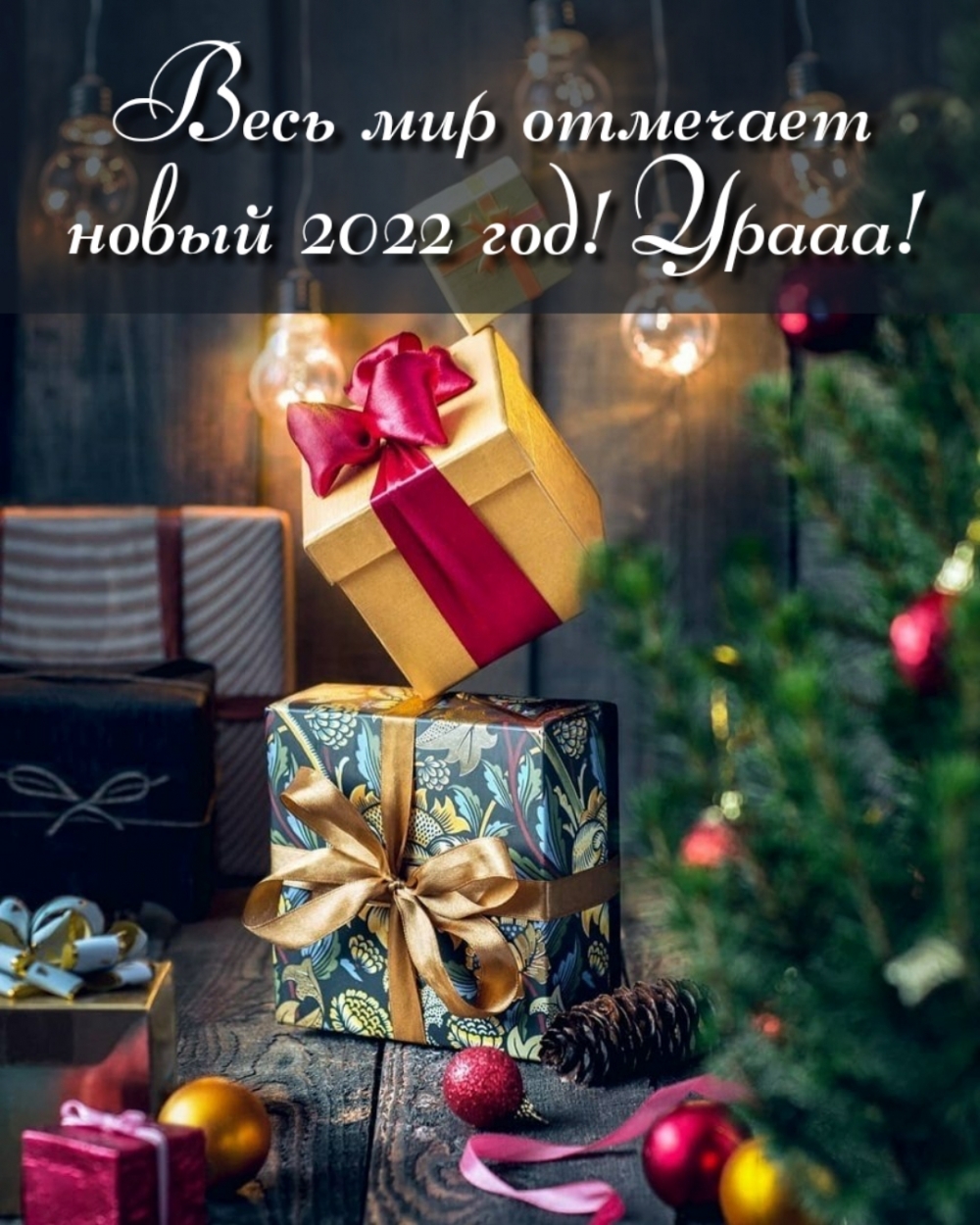 ���� ��� �������� ����� 2022 ���! ������!.