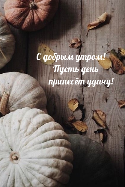 � ������ �����! ����� ���� ������� �����!
