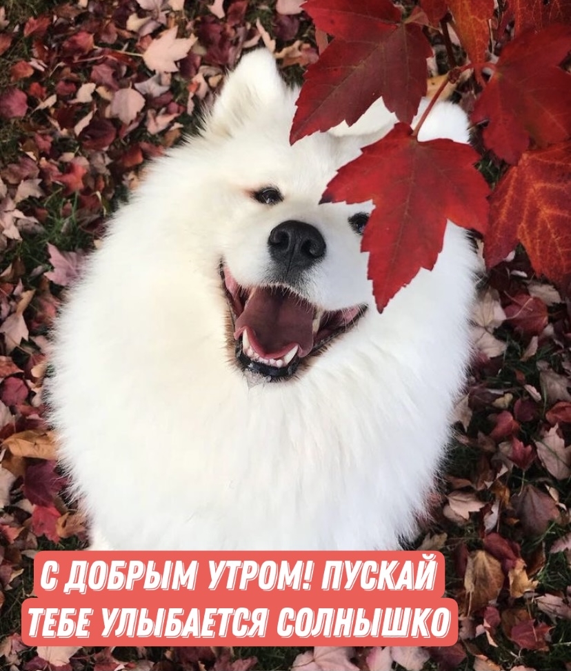 � ������ �����! ������ ���� ��������� ��������