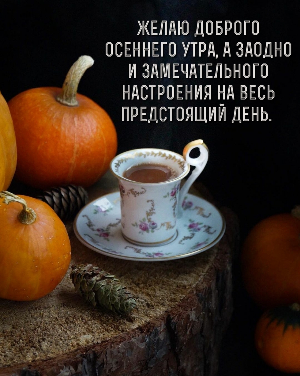 ����� ������� �������� ����