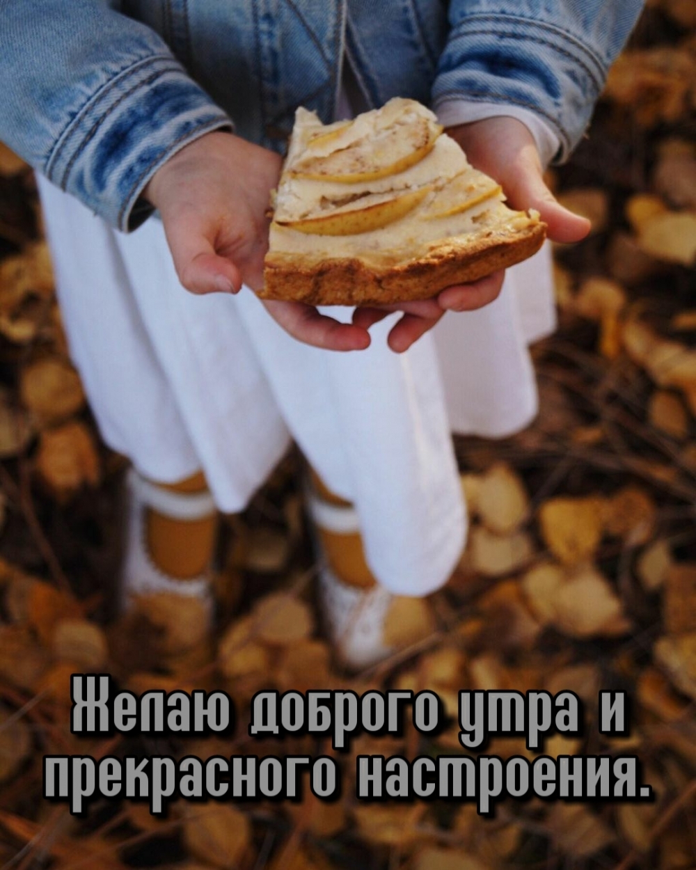 ����� ������� ���� � ����������� ����������