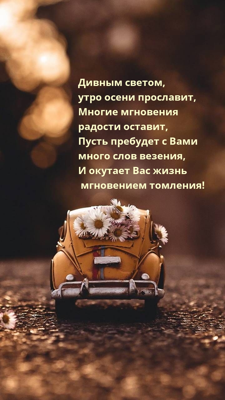 ������ ������, ���� ����� ���������