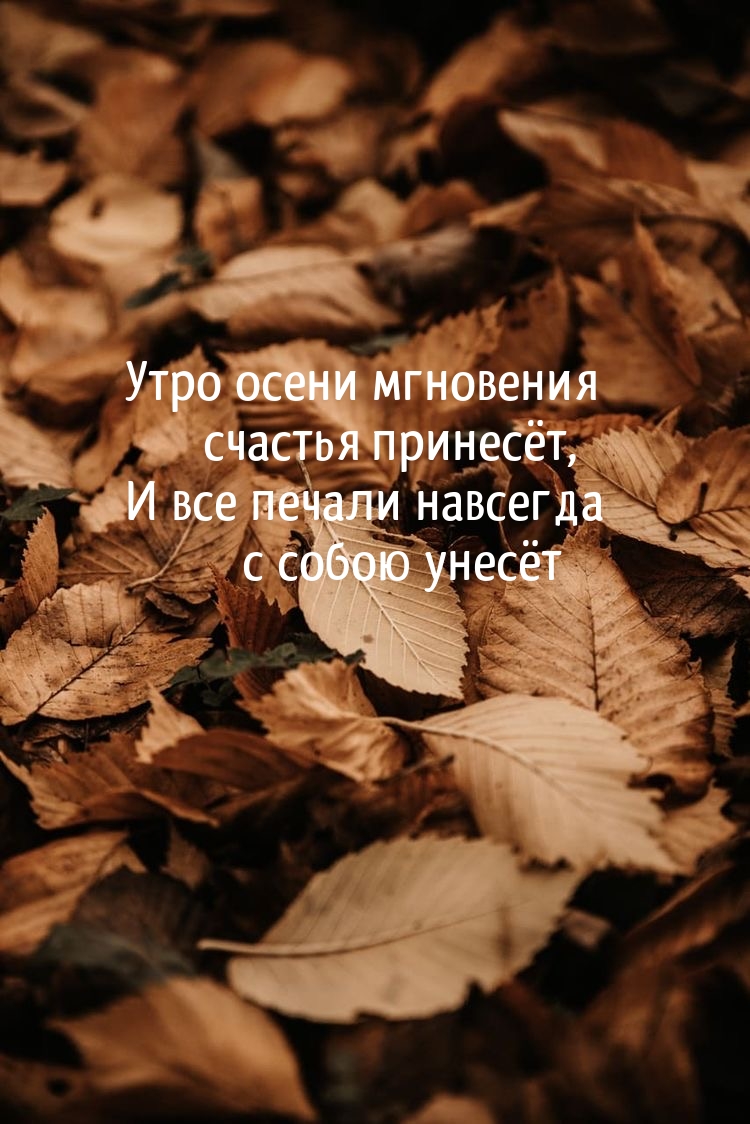 ���� ����� ��������� ������� �������
