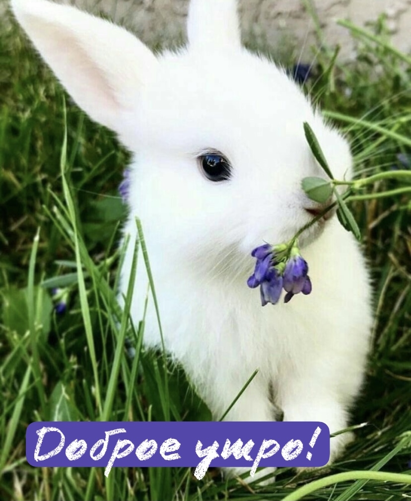 ������ ����!