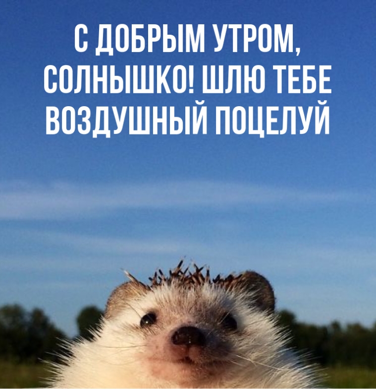 � ������ �����, ��������! ��� ���� ��������� �������