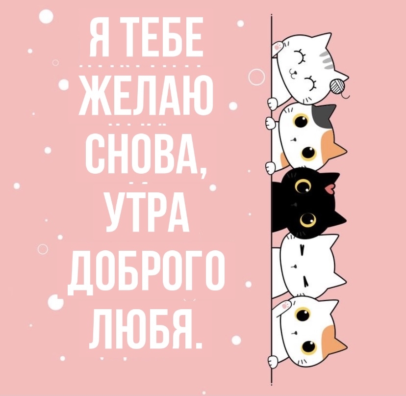 � ���� ����� �����, ���� ������� ����.