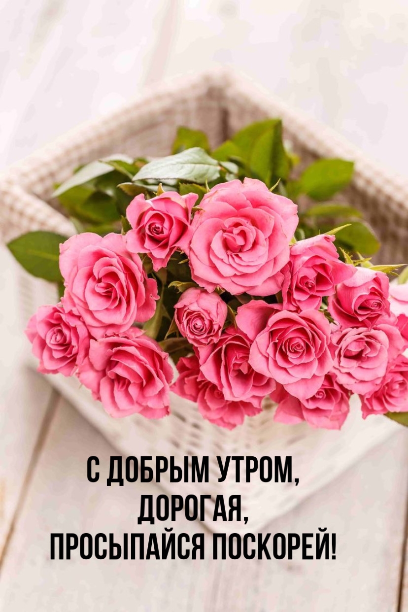 � ������ �����, �������, ���������� ��������!