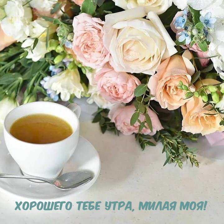 �������� ���� ����, ����� ���!.