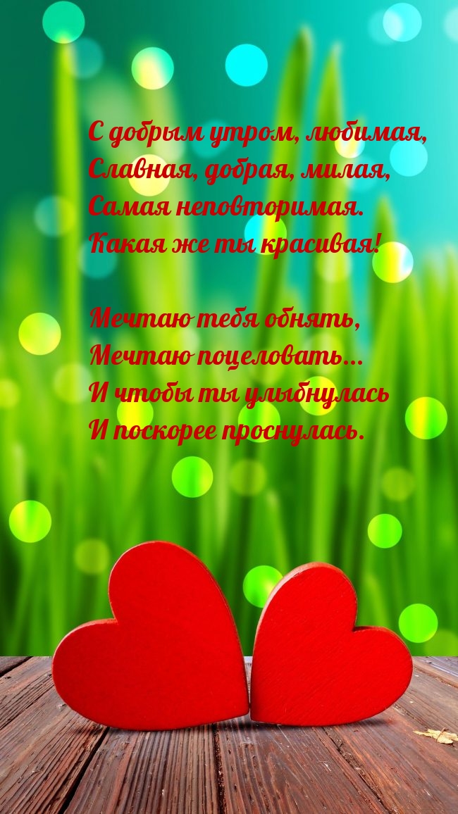 � ������ �����, �������, �������, ������, �����