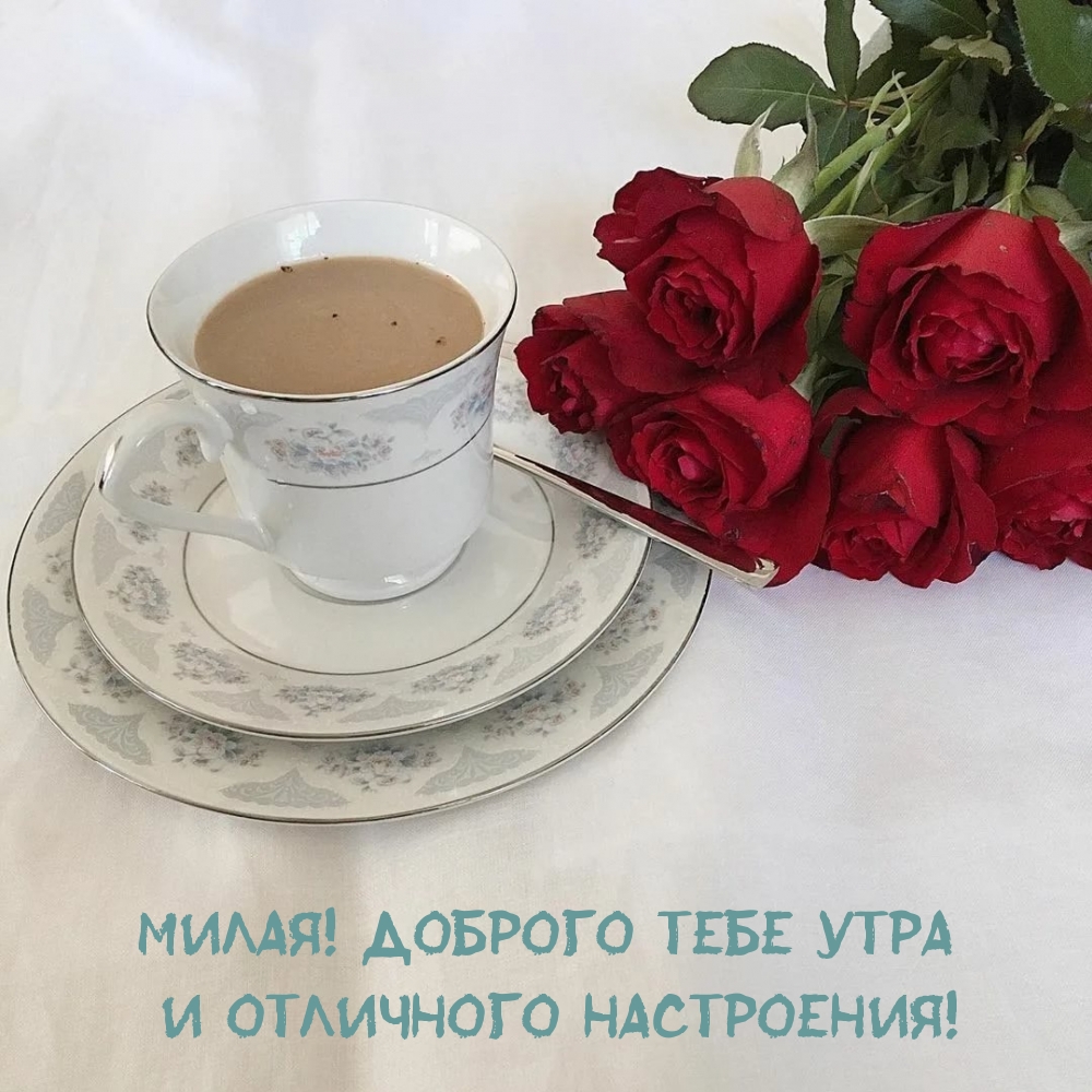 �����! ������� ���� ���� � ��������� ����������!