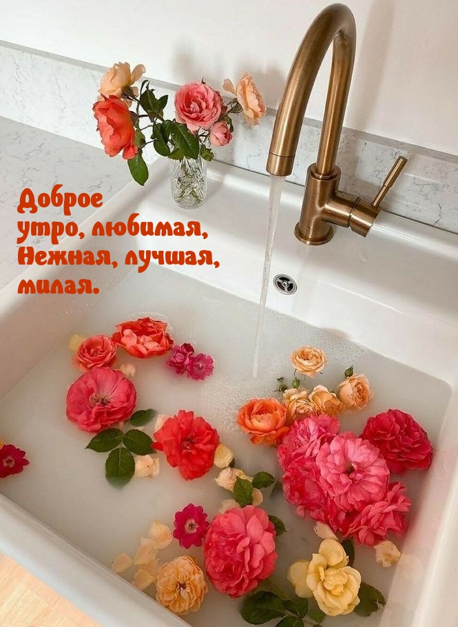 ������ ����, �������, ������, ������, �����..