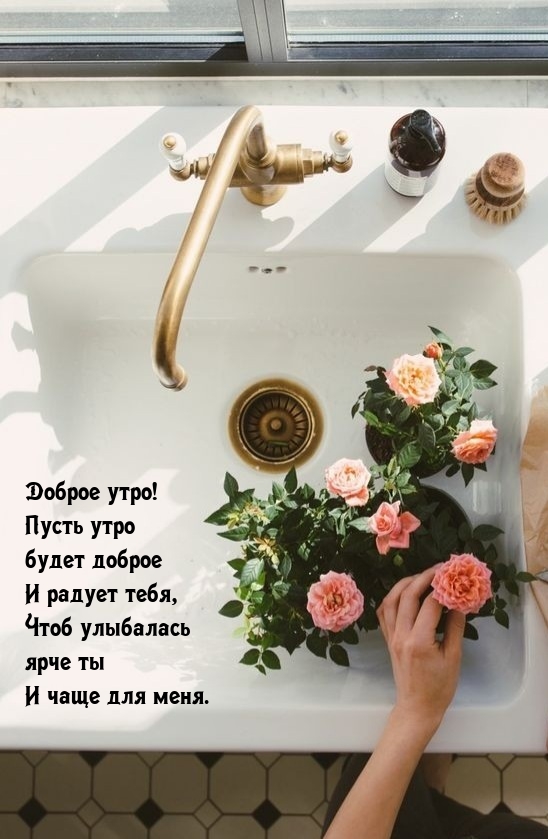 ����� ���� ����� ������ � ������ ����