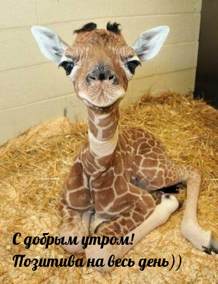 � ������ �����! �������� �� ���� ����))
