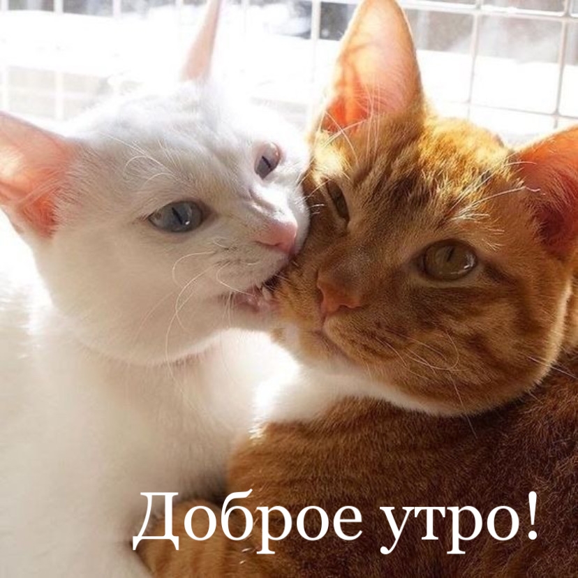 ������ ����!