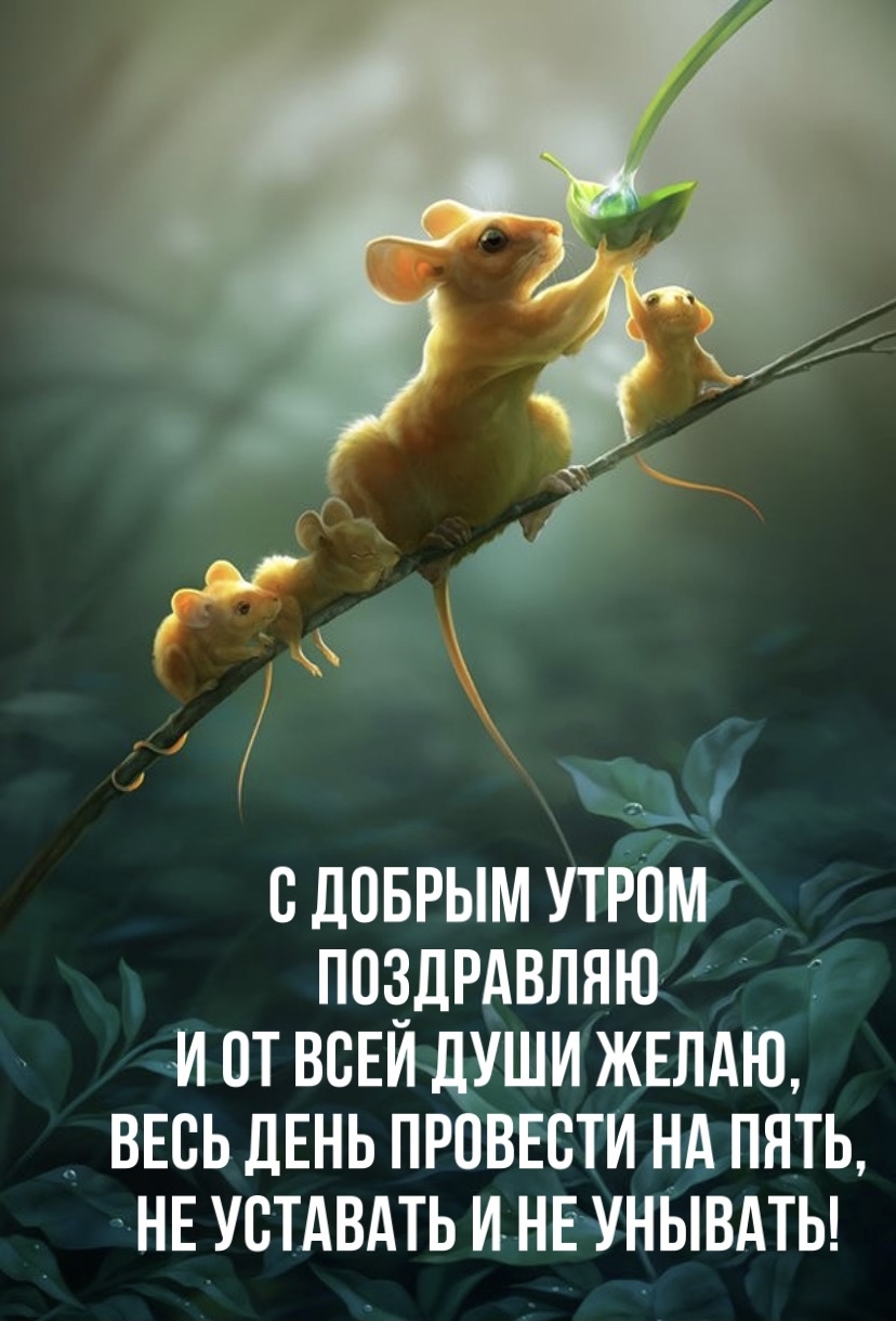 �� ���� ���� �����, ���� ���� �������� �� ����