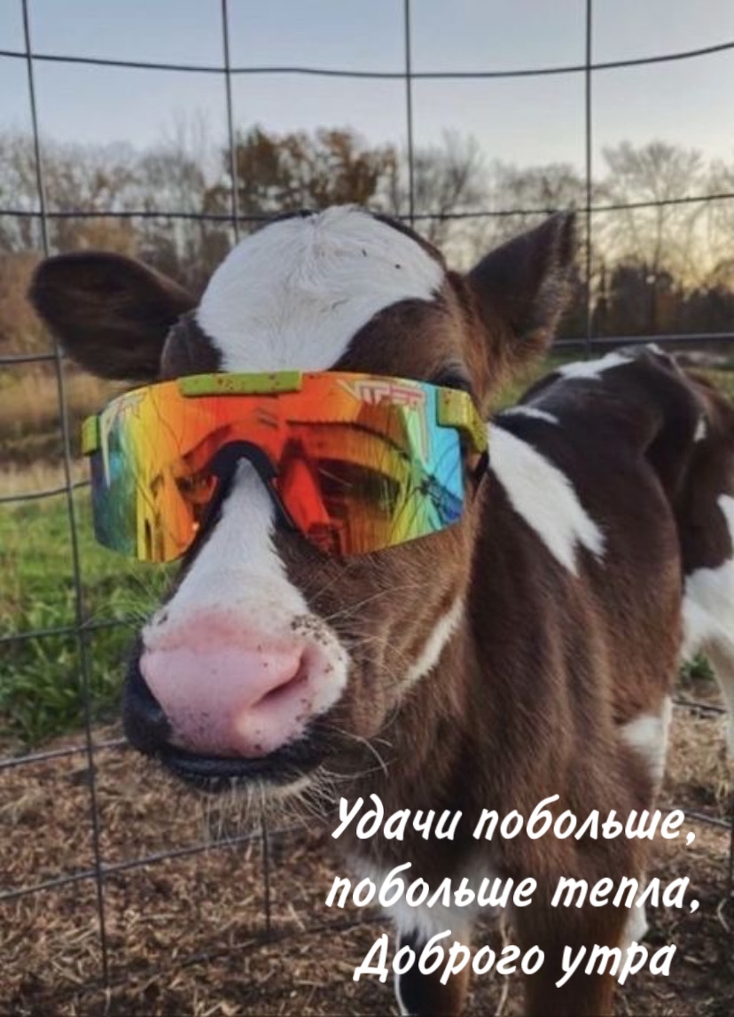 ����� ��������, �������� �����, ������� ����
