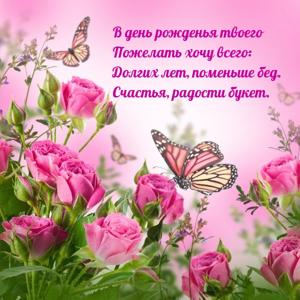 � ���� �������� ������ �������� ���� �����