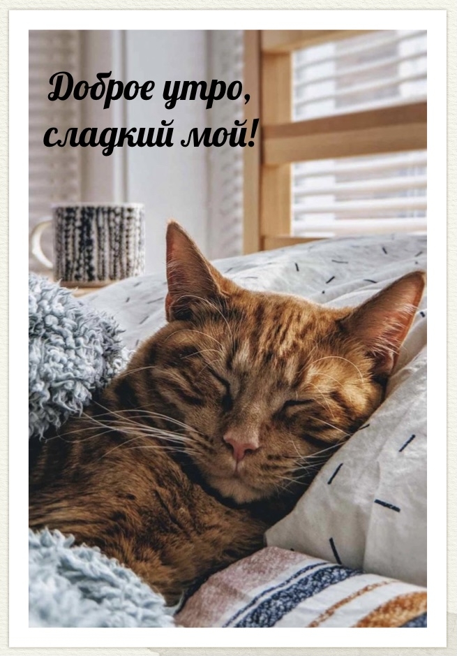 Доброе утро, сладкий мой!