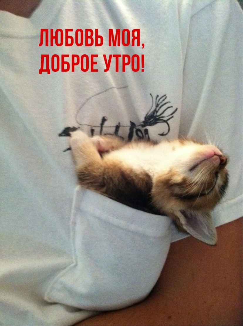 ������ ���, ������ ����!.