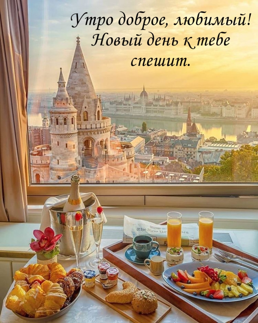 ���� ������, �������! ����� ���� � ���� ������..