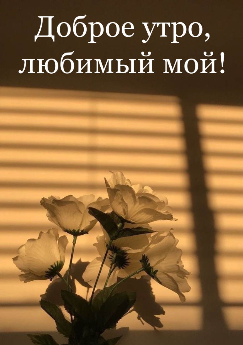 ������ ����, ������� ���!.