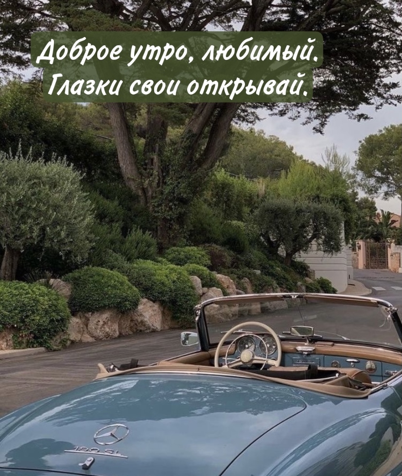 ������ ����, �������. ������ ���� ��������..