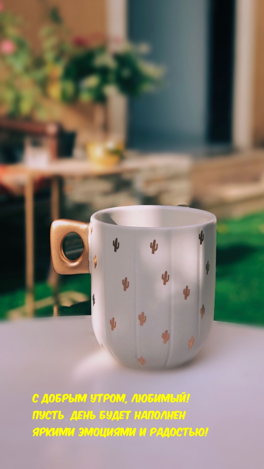 � ������ �����, �������! ����� ���� ����� �������� ������ ��������.