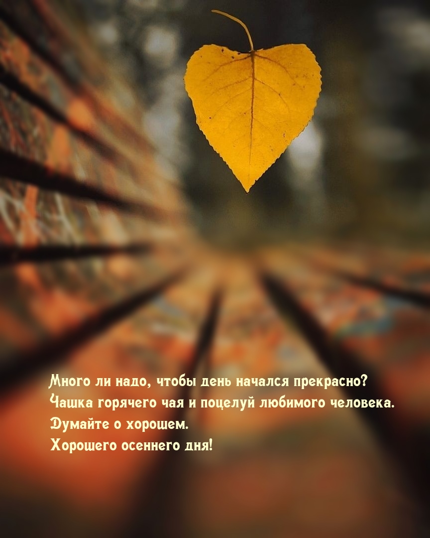 Думайте о хорошем. Хорошего осеннего дня!