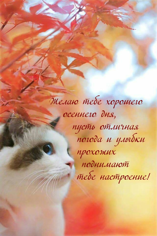 ����� ���� �������� �������� ���.