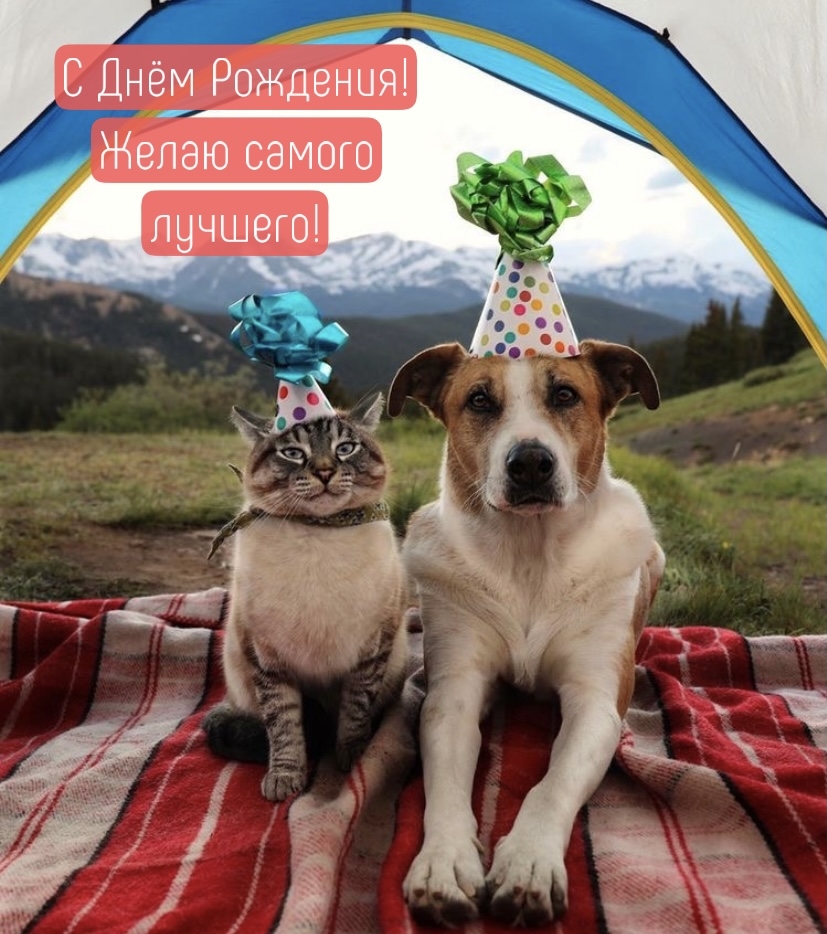 � ���� ��������! ����� ������ �������!