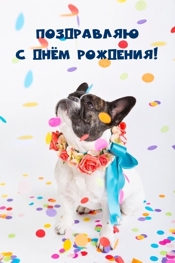 Поздравляю с Днём Рождения!