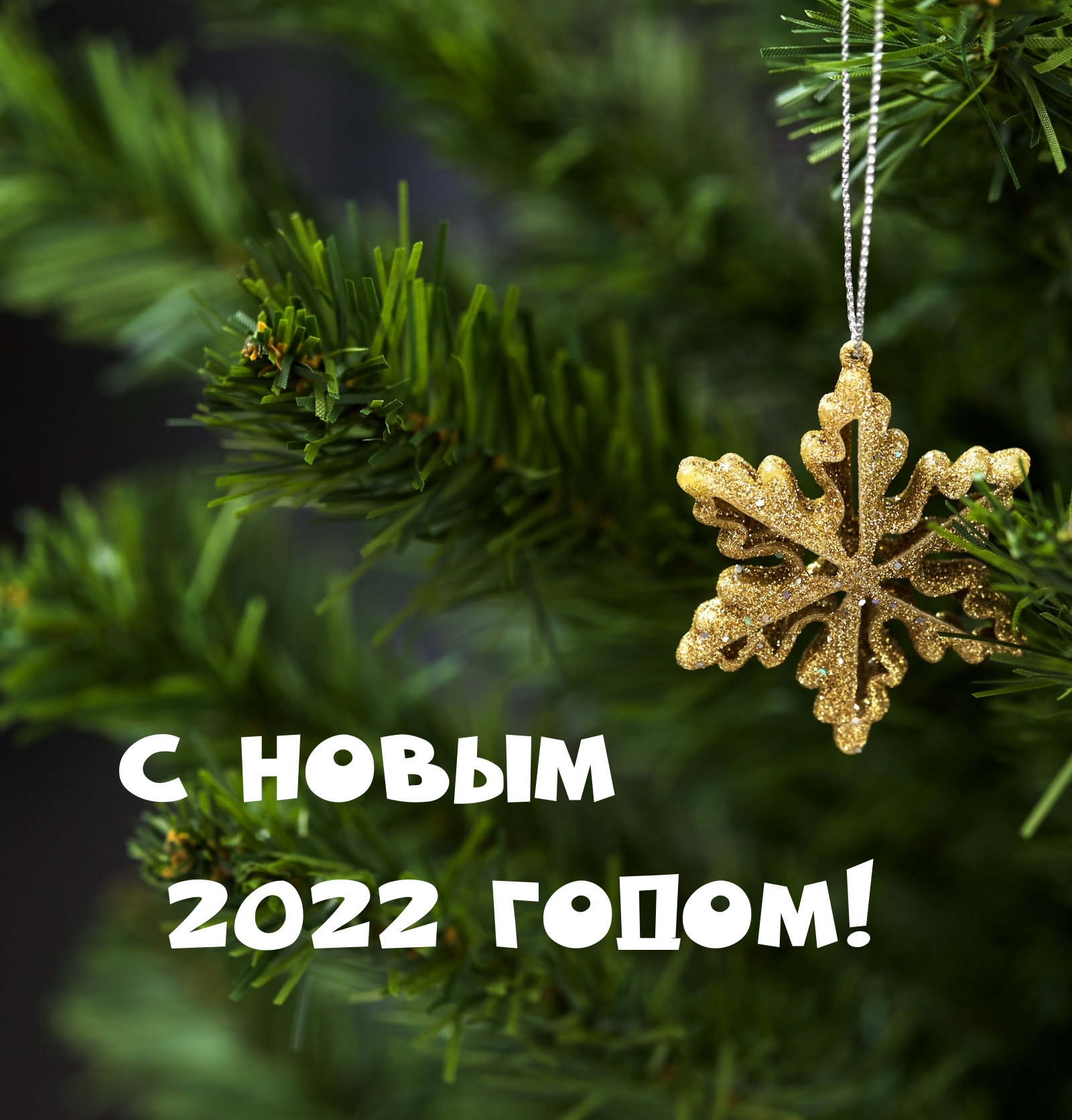� ����� 2022 �����!