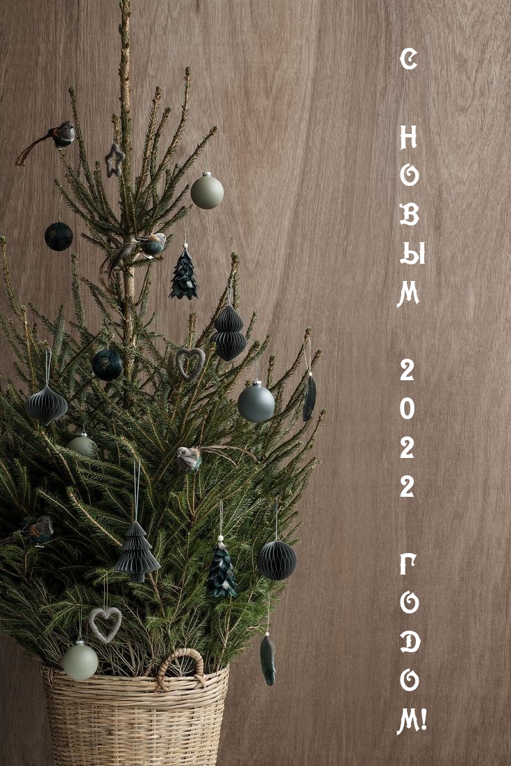 � ����� 2022 �����!