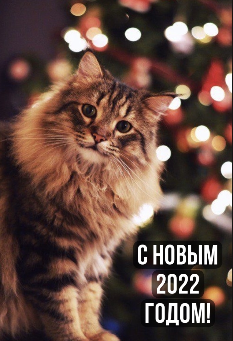 � ����� 2022 �����!