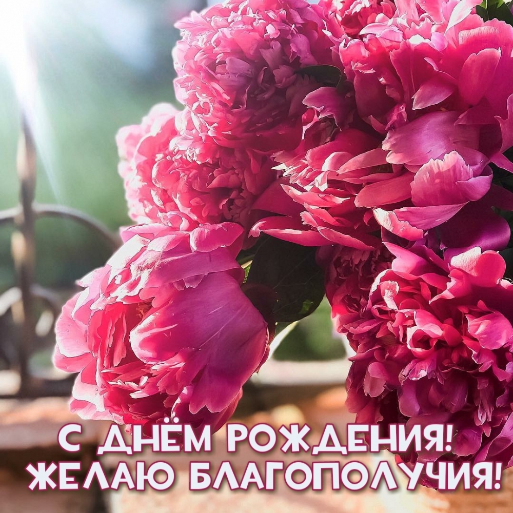 � ���� ��������! ����� ������������!