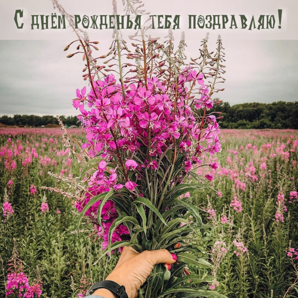� ���� �������� ����!