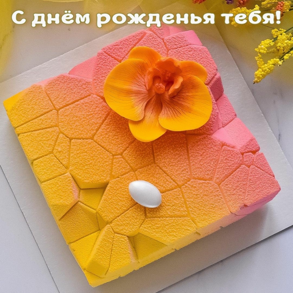 � ���� �������� ����!