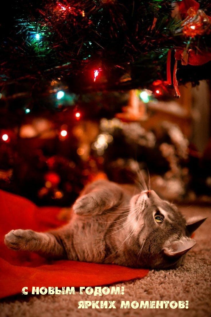 � ����� �����! ����� ��������!