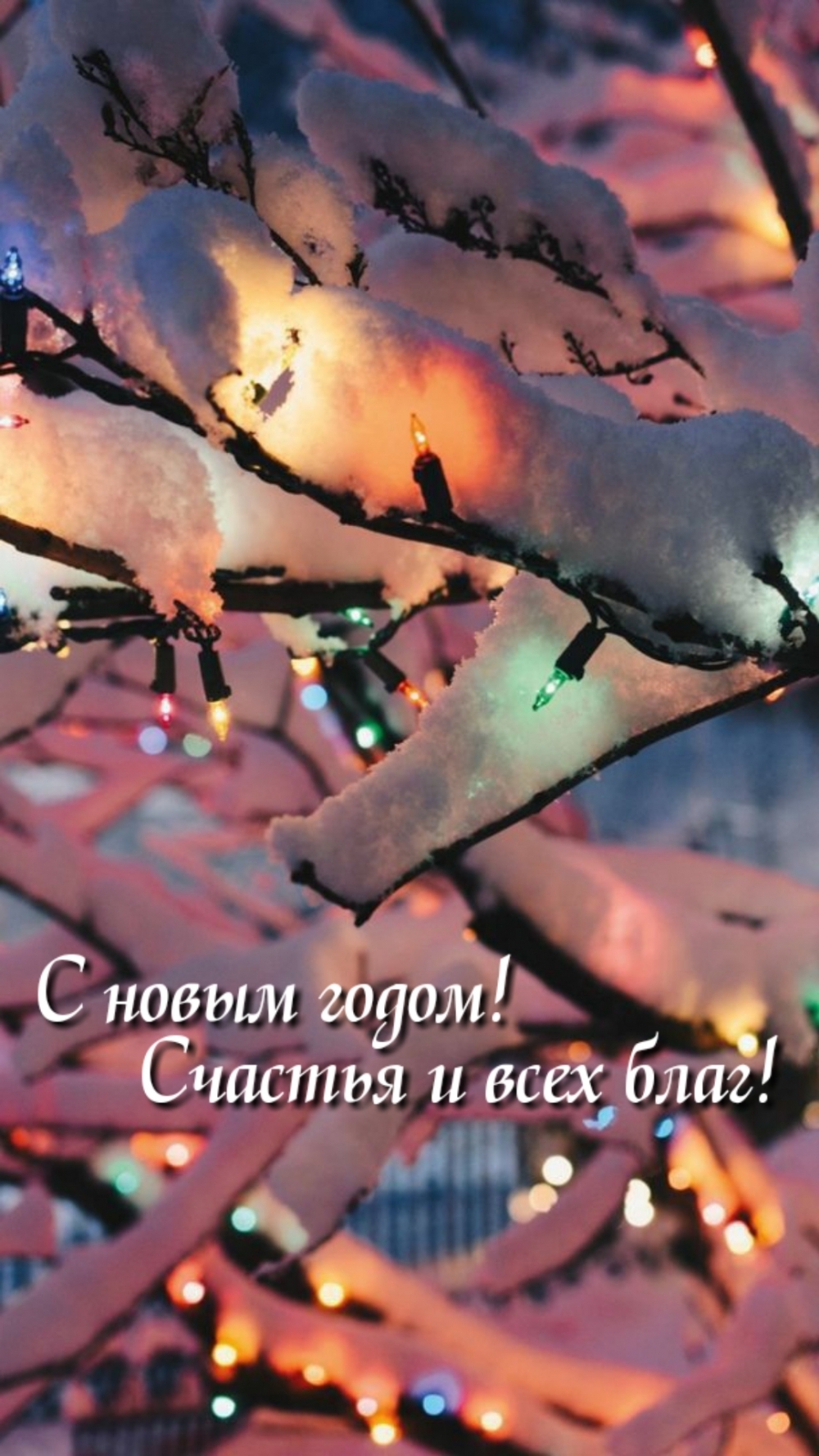 � ����� �����! ������� � ���� ����!