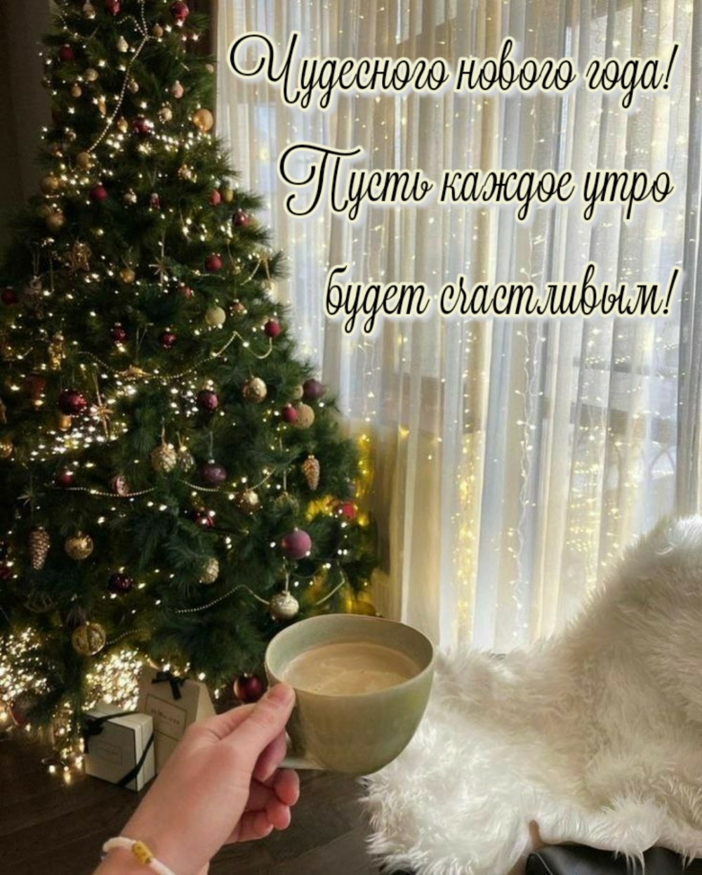 ��������� ������ ����! ����� ������ ���� ����� ����������!