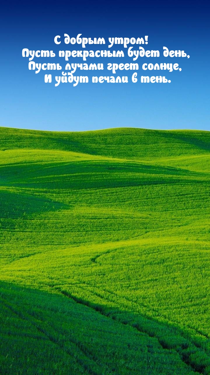 � ������ �����! ����� ���������� ����� ����.