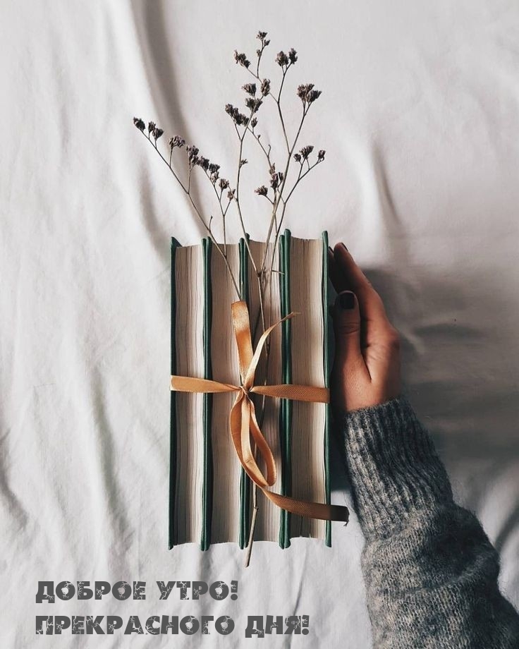 ������ ����! ����������� ���!.