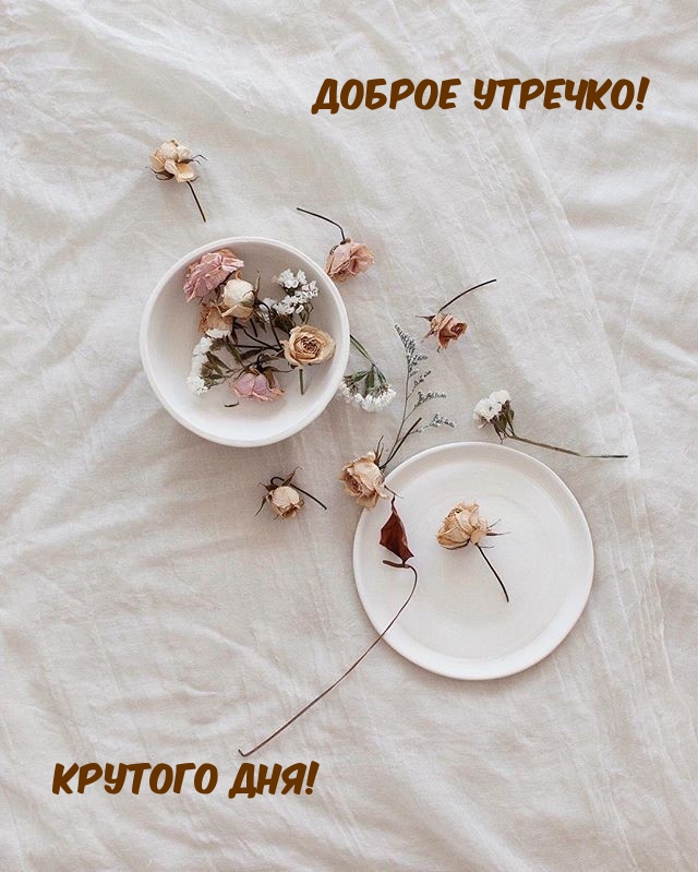 ������ �������! ������� ���!.