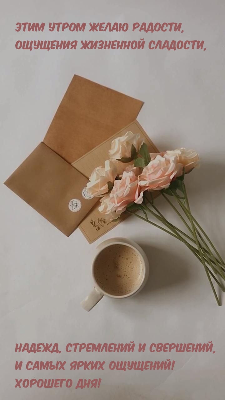 ���� ����� ����� �������, �������� ��������� ��������.