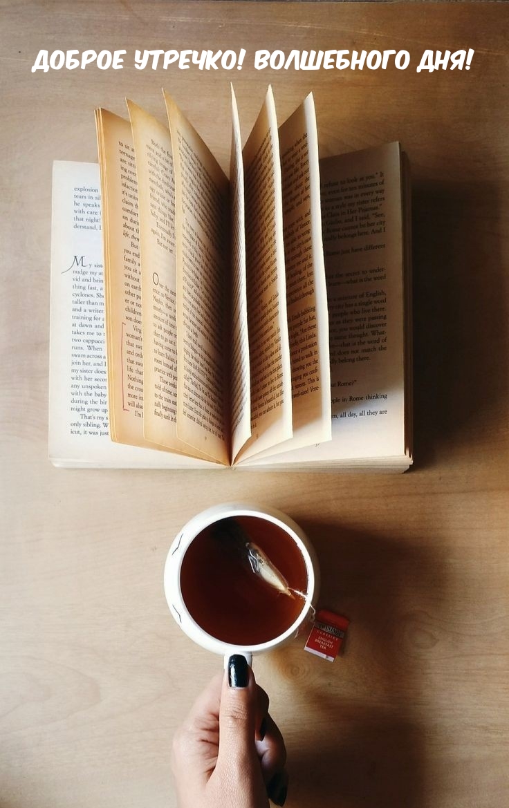 ������ �������! ���������� ���!.