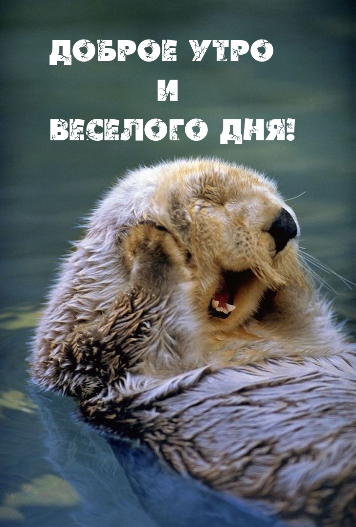 ������ ���� � �������� ���!